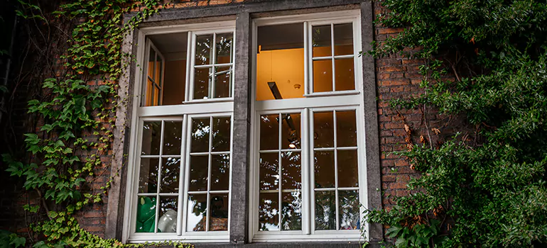 Energy Efficient Wood Windows in El Cerrito, CA