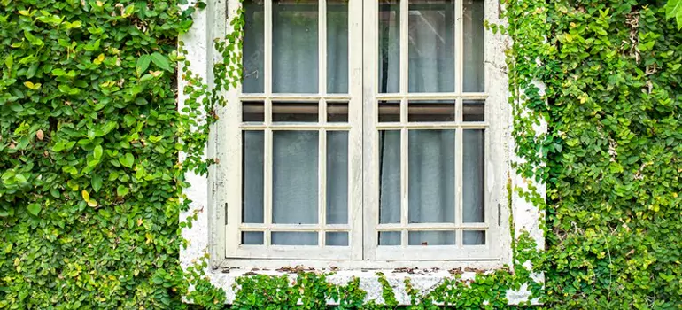 Garden Window Repair Near Me in El Cerrito, CA