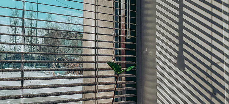 Commercial Window Blinds in El Cerrito, CA