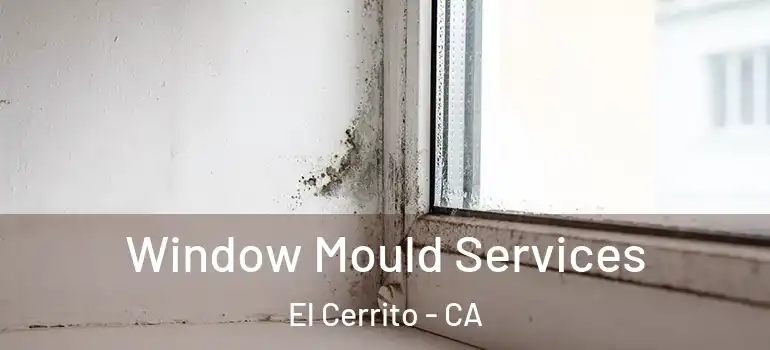  Window Mould Services El Cerrito - CA